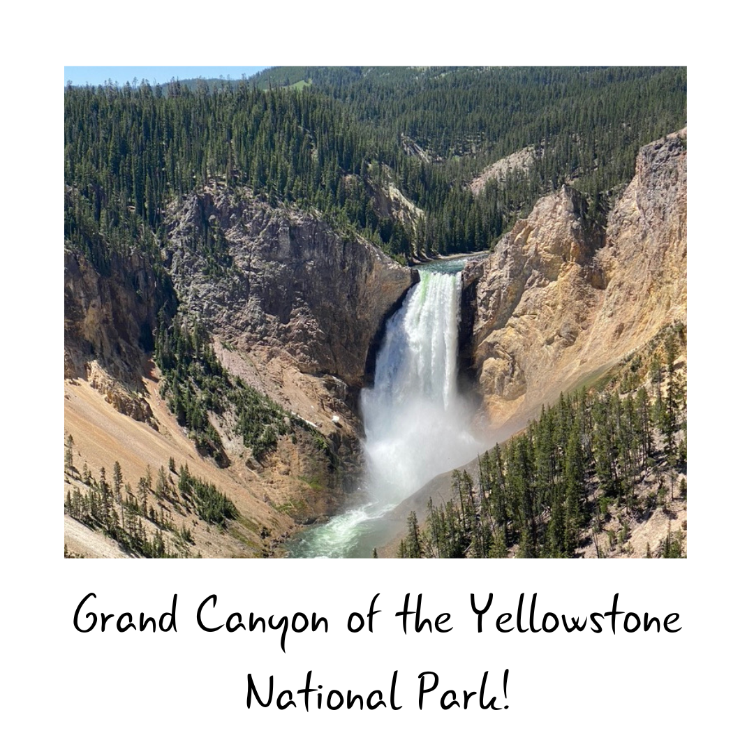 Yellowstone National Park Letter